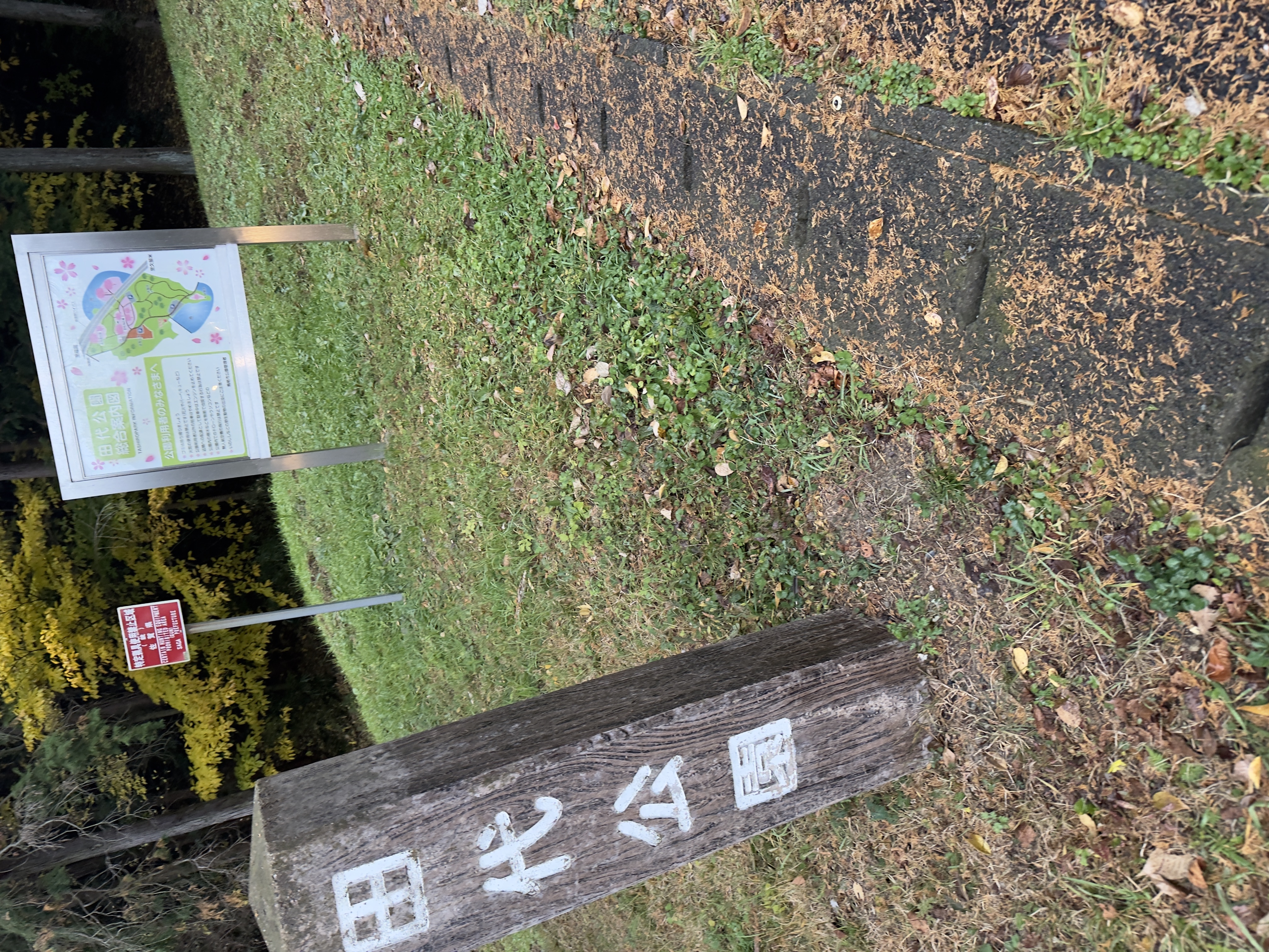 公園等の写真2