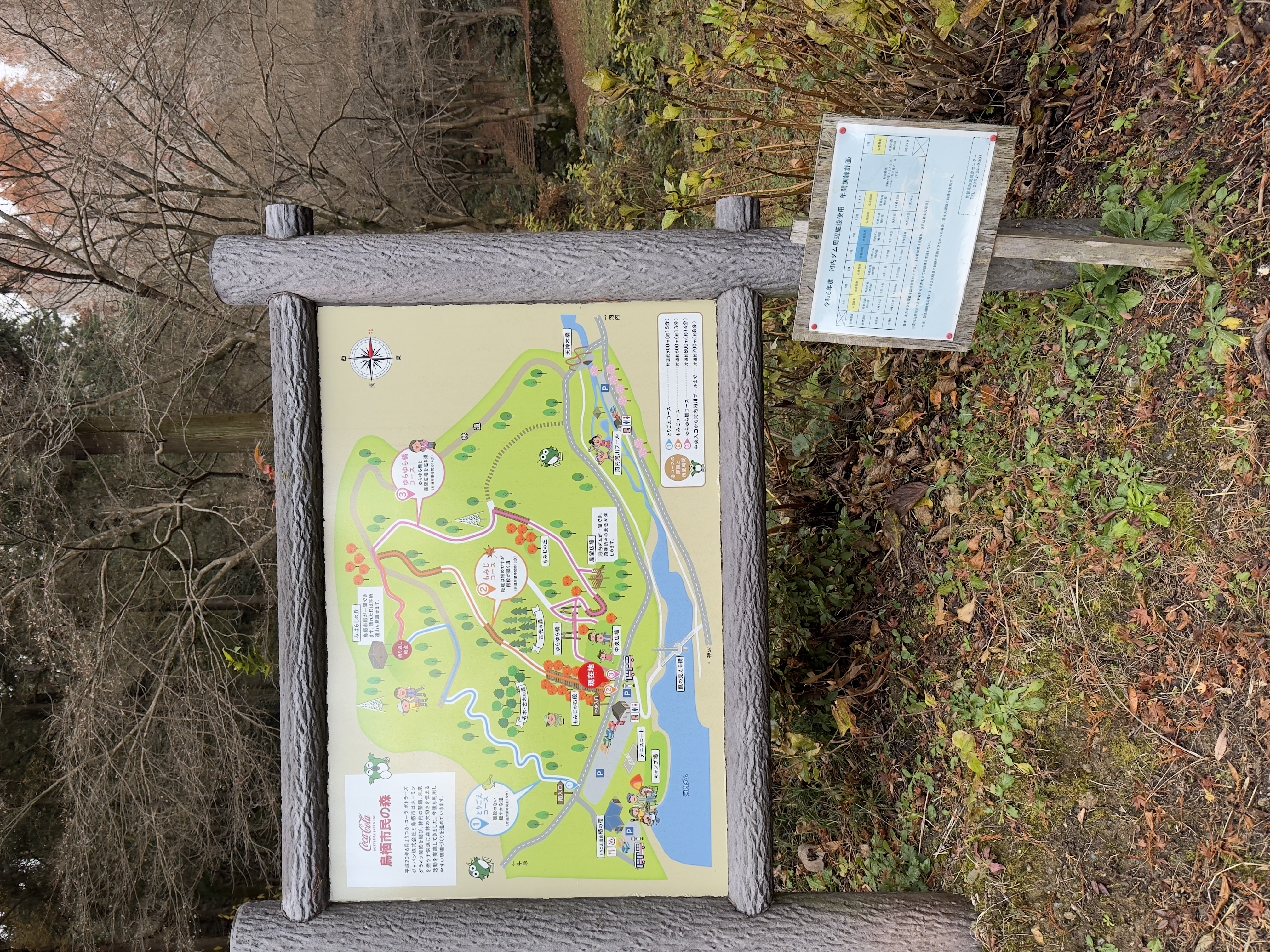 市民の森の風景2