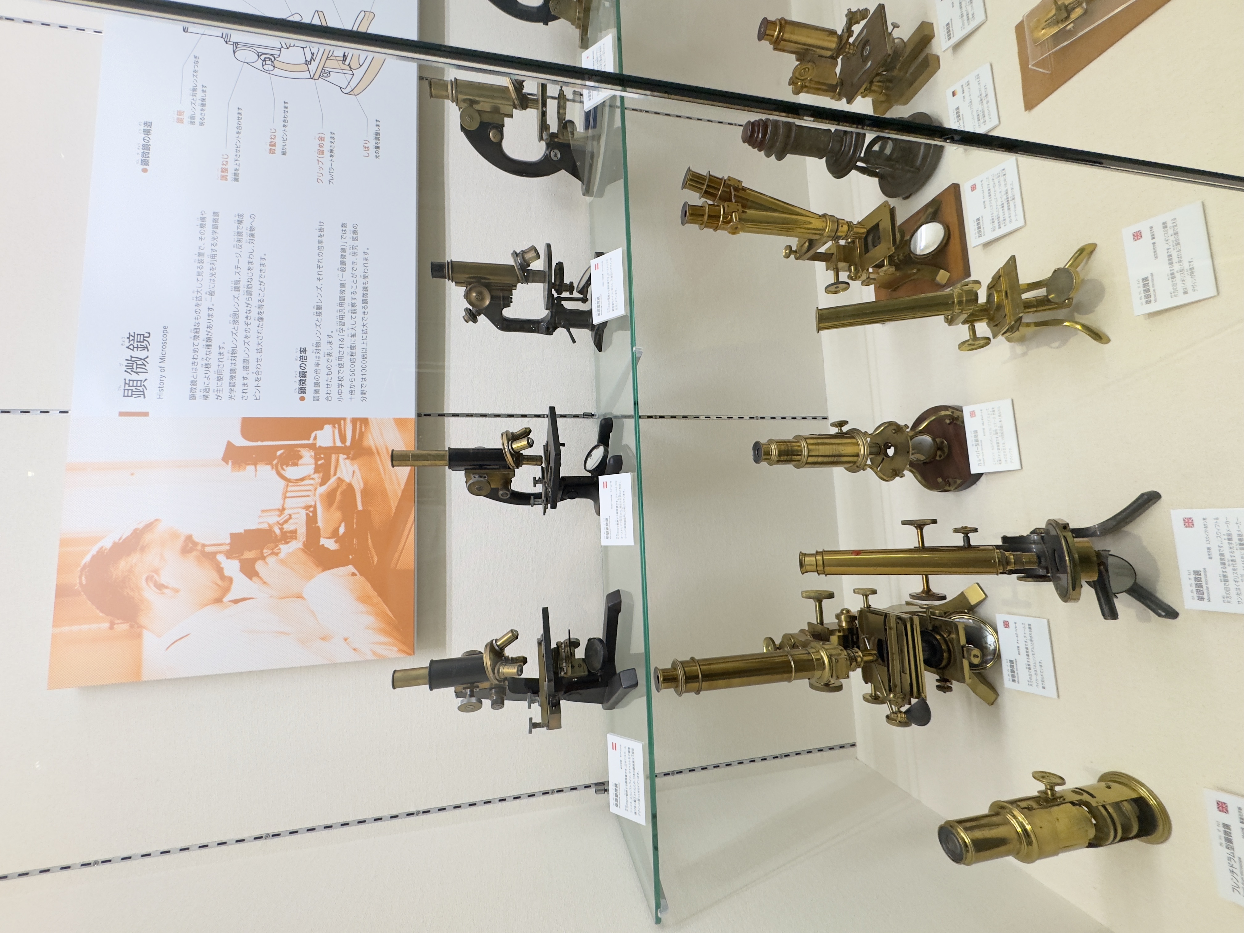 くすり博物館の風景5