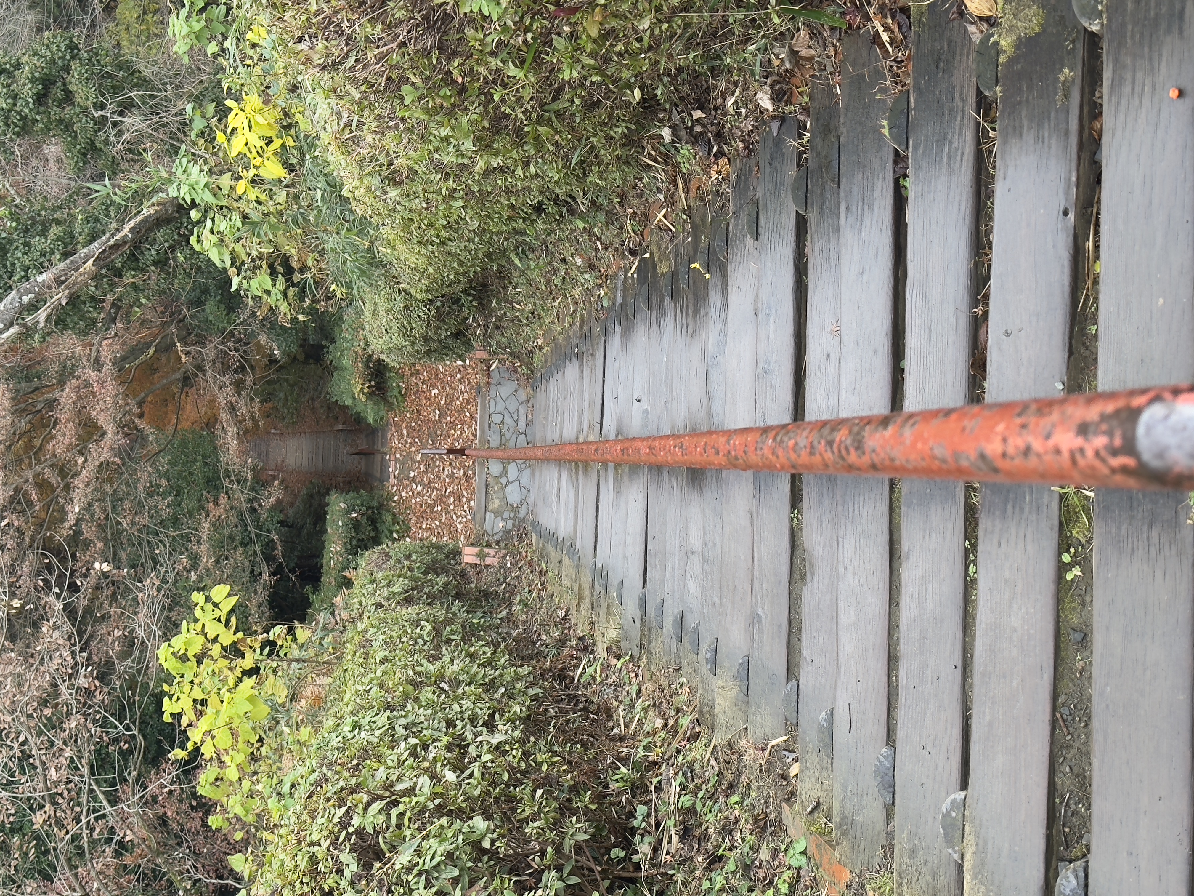 旭山公園の風景3