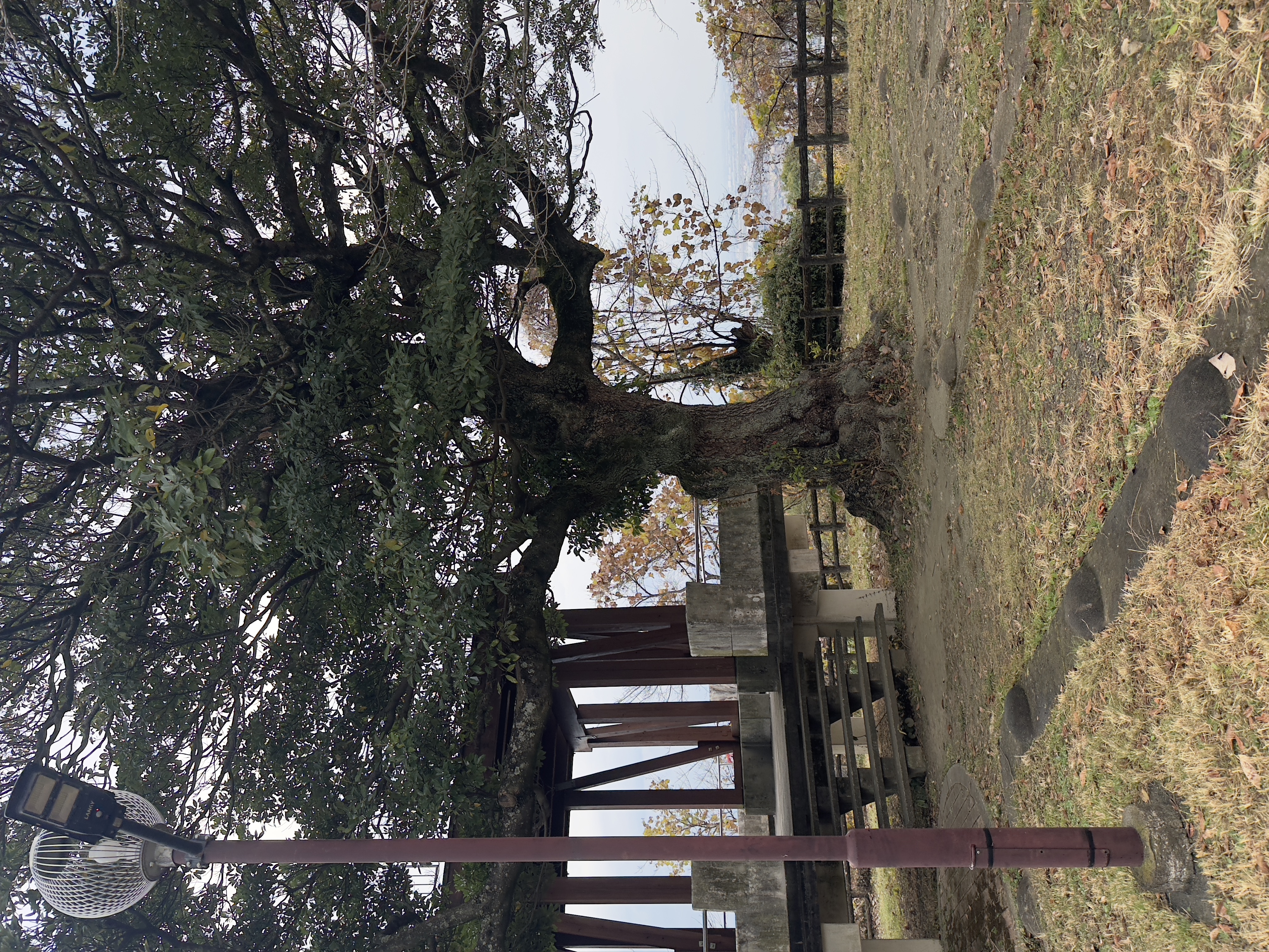 旭山公園の風景4